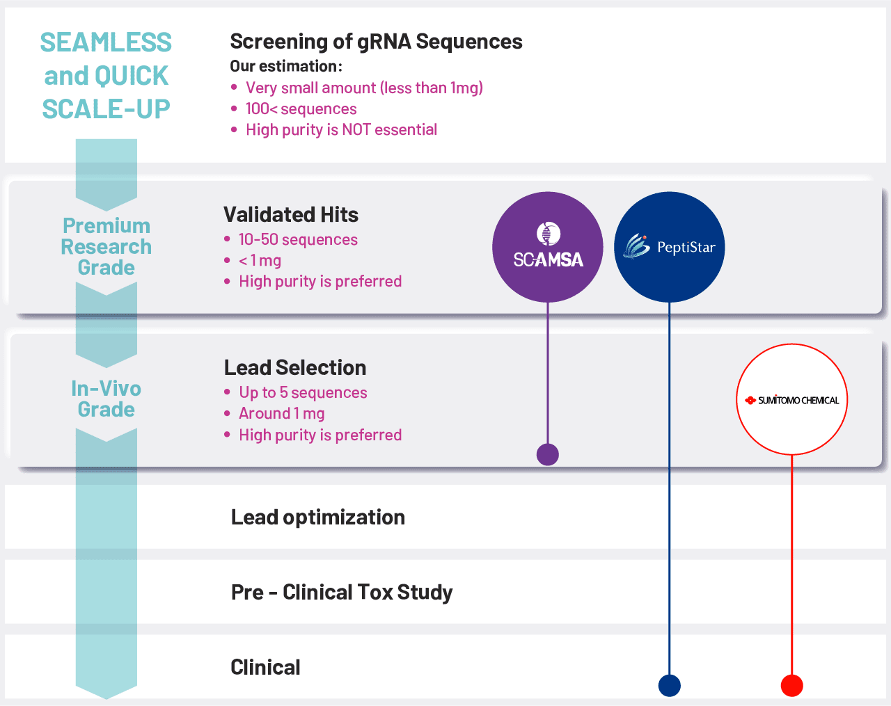 Diagram illustrating the seamless and quick transition: Our consistent gRNA quality facilitates a smooth path from early screening to later-stage development with rapid tech-transfer.